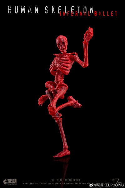 生物课堂 人体骨骼