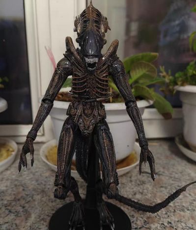 NECA-异形 1/4 比例可动人偶 – 40 周年纪念版 Big Chap