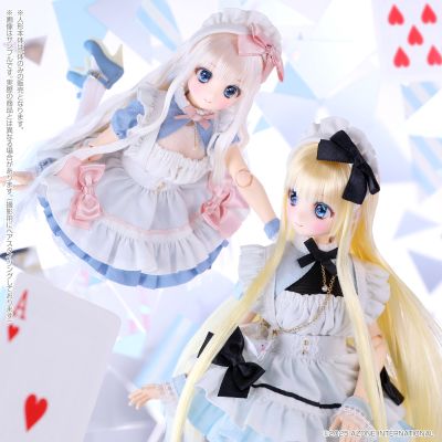 POD051-HVA Colorful Dreamin'/仙境里的叶鸟心音1.2（通贩版）