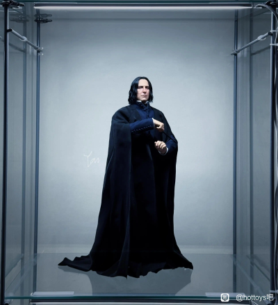 哈利·波特与混血王子 西弗勒斯·斯内普