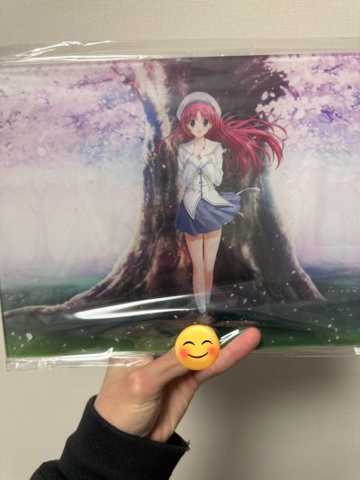 初音岛 白河小鸟