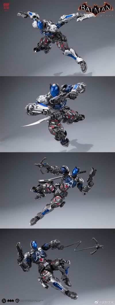 蝙蝠侠：阿卡姆骑士 阿卡姆骑士