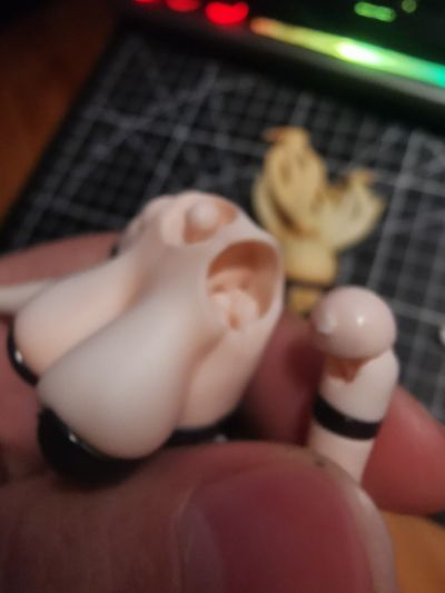 兔子快速反应小队 盾牌手 • 爱莲娜