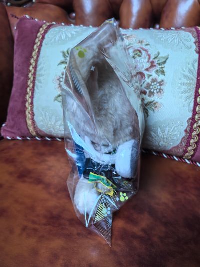 防风铃 毛绒绒玩偶  梶蓮