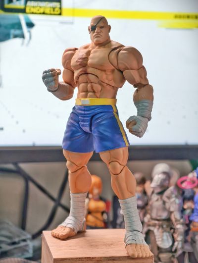 少年街霸3 沙加特 “ STORM ARENA”