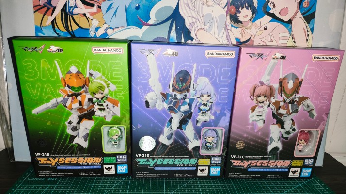 TINY SESSION  超时空要塞DELTA VF-31S 齐格飞（阿拉德专用） +美云