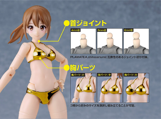 PLAMATEA Muse Body：Ichika 金色比基尼