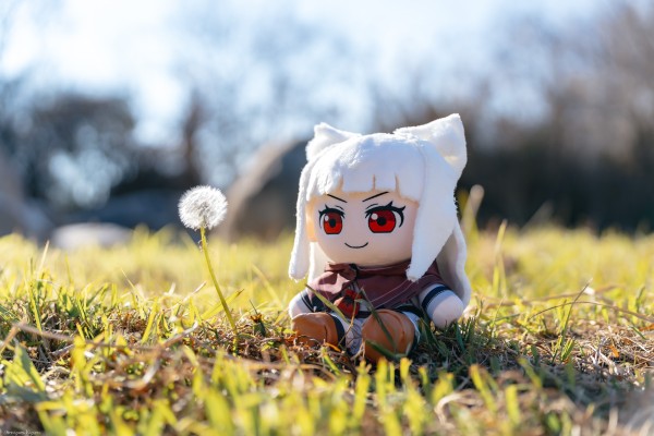 狼与香辛料 merchant meets the wise wolf 大尺寸40公分毛绒玩偶 赫萝