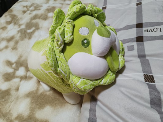 蔬菜精灵系列 白菜狗 公仔毛绒玩偶 & 抱枕