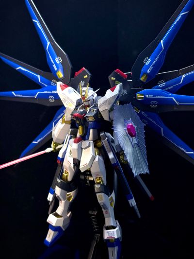 METAL ROBOT魂 ＜机动战士系列＞ 强袭自由高达 [Re:Coordinate]