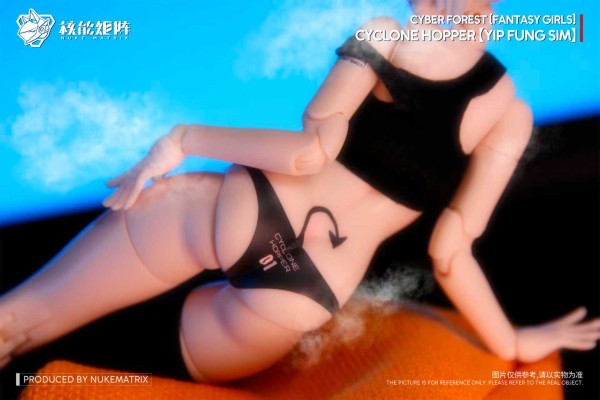 赛博森林 飓风飞蝗 叶风婵