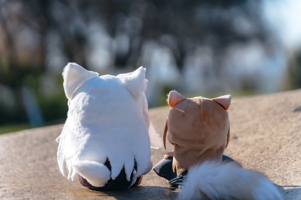 狼与香辛料 merchant meets the wise wolf 毛绒玩偶 赫萝