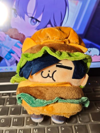 蔚蓝档案  小小谷努咪～研讨会～（待检资料）