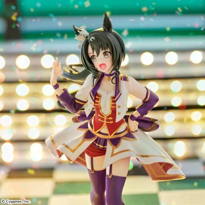 XStellar系列 赛马娘 里见皇冠 -开创未来-