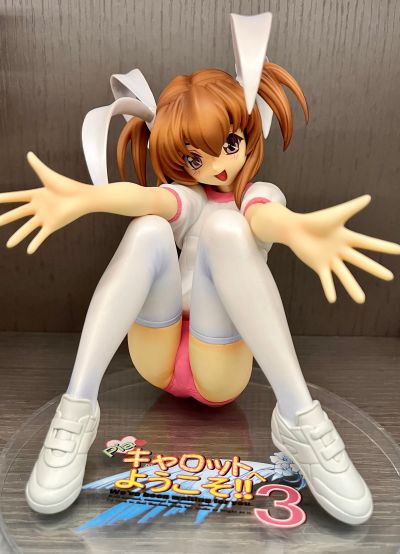 DreamTech Pia♥キャロットへ阳子そ!!3 爱沢友美 Gym Uniform Ver. (Pink Color) Limited 