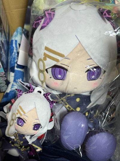 蔚蓝档案 Chocopuni 大号40cm毛绒玩偶 千夏／阳奈