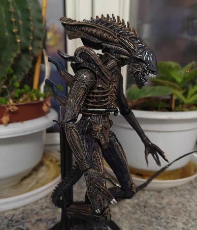 NECA-异形 1/4 比例可动人偶 – 40 周年纪念版 Big Chap