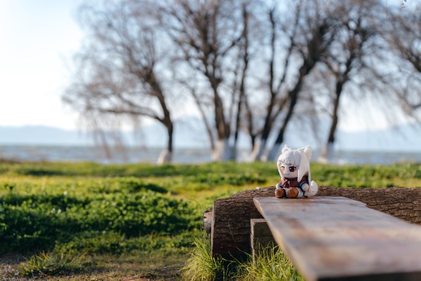 狼与香辛料 merchant meets the wise wolf 毛绒玩偶 赫萝