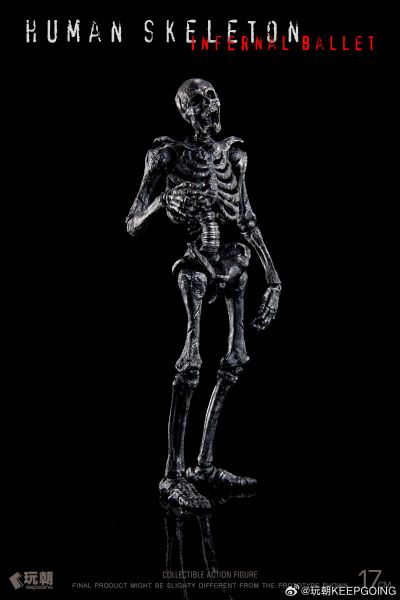 生物课堂 人体骨骼