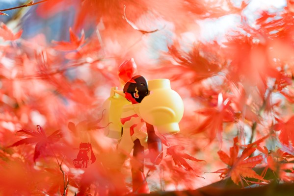 宝可梦模型收藏 58 特选系列 红莲铠骑