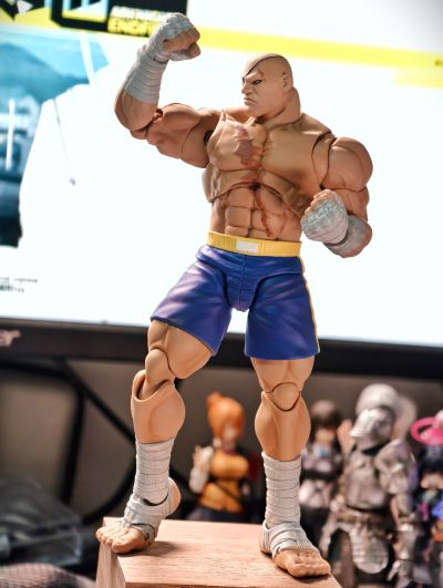 少年街霸3 沙加特 “ STORM ARENA”