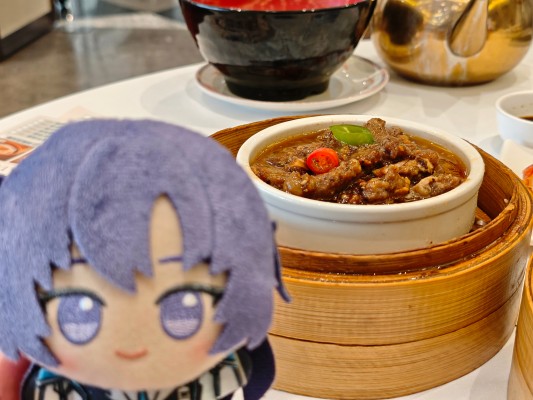 蔚蓝档案  小小谷努咪～研讨会～（待检资料）