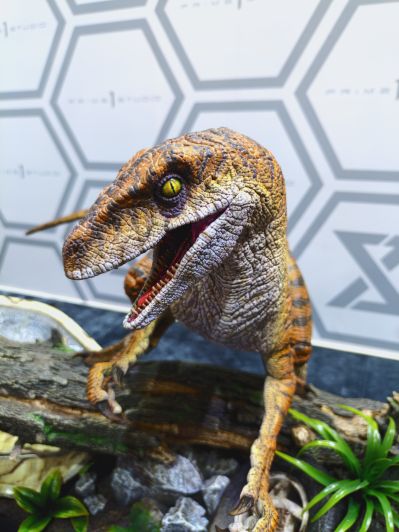 侏罗纪公园 迅猛龙