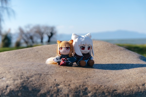 狼与香辛料 merchant meets the wise wolf 大尺寸40公分毛绒玩偶 赫萝