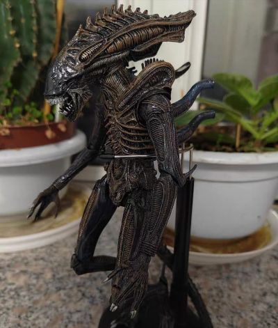 NECA-异形 1/4 比例可动人偶 – 40 周年纪念版 Big Chap