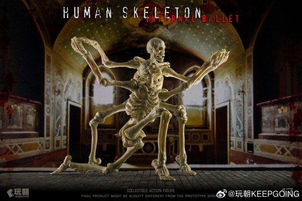 生物课堂 人体骨骼