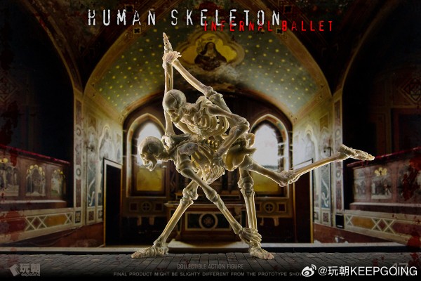 生物课堂 人体骨骼