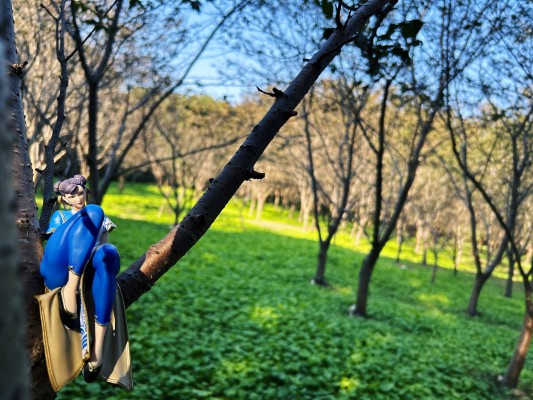 小坐系列 街霸6 春丽