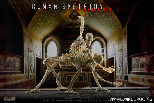 生物课堂 人体骨骼