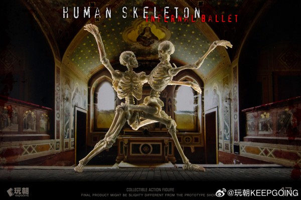 生物课堂 人体骨骼