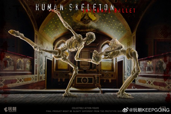 生物课堂 人体骨骼