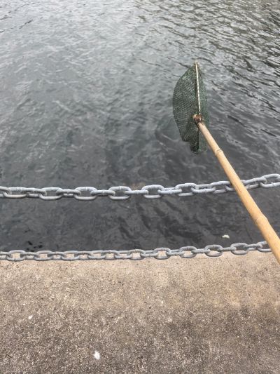 粘土人#2780 初音未来GT计划 赛车未来2025