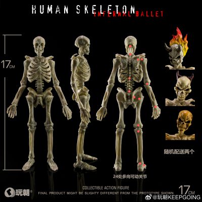 生物课堂 人体骨骼