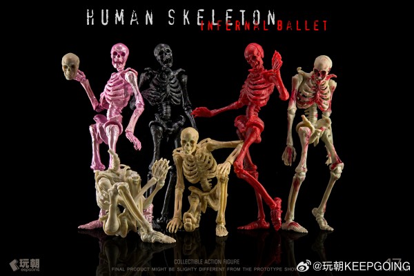 生物课堂 人体骨骼