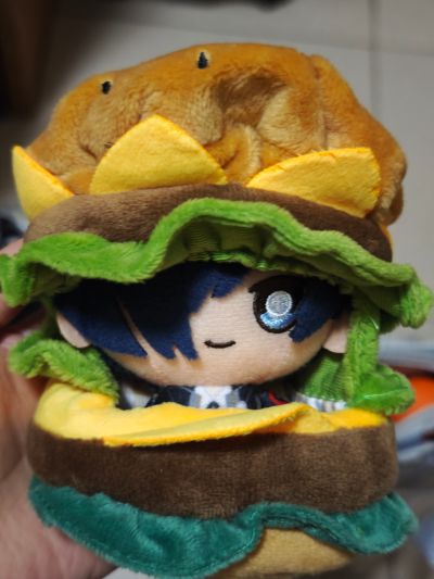 蔚蓝档案  小小谷努咪～研讨会～（待检资料）