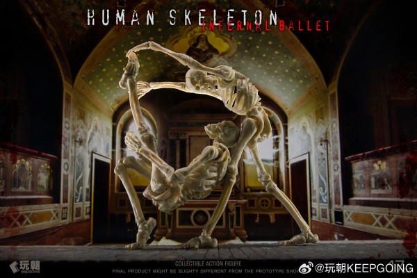 生物课堂 人体骨骼