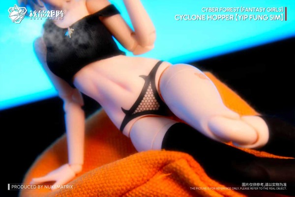 赛博森林 飓风飞蝗 叶风婵