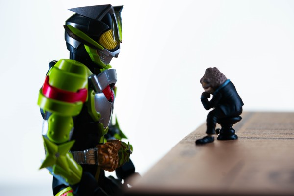 S.H.Figuarts  假面骑士太狸 火旺忍者形态与凯凯拉（青蛙摆件形态）