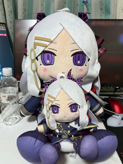 蔚蓝档案 Chocopuni 大号40cm毛绒玩偶 千夏／阳奈