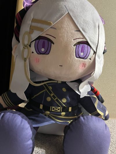 蔚蓝档案 Chocopuni 大号40cm毛绒玩偶 千夏／阳奈