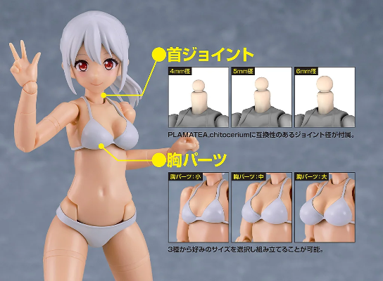 PLAMATEA Muse Body：Ichika 比基尼 C类型