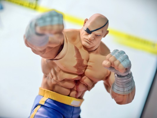 少年街霸3 沙加特 “ STORM ARENA”