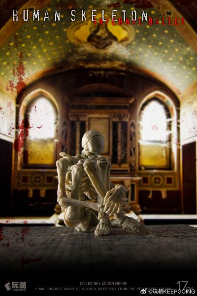 生物课堂 人体骨骼