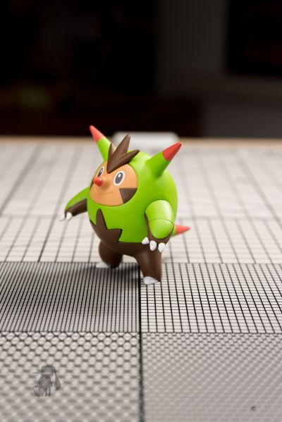 宝可梦比例世界 卡洛斯地区套装