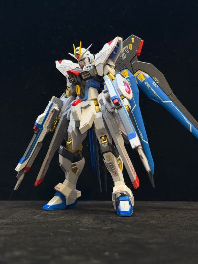 METAL ROBOT魂 ＜机动战士系列＞ 强袭自由高达 [Re:Coordinate]