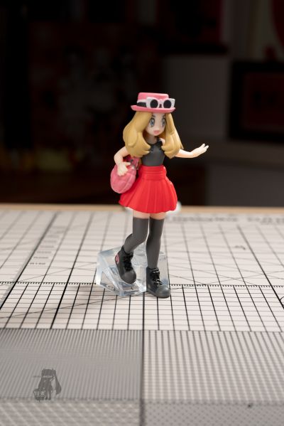 宝可梦比例世界 卡洛斯地区套装